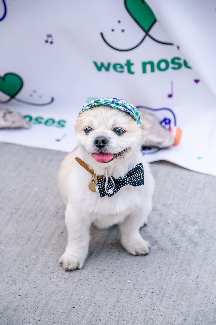 Turn Up with Your Pup event photo