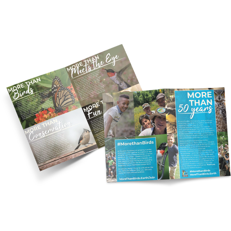 Houston Audubon Society brochure