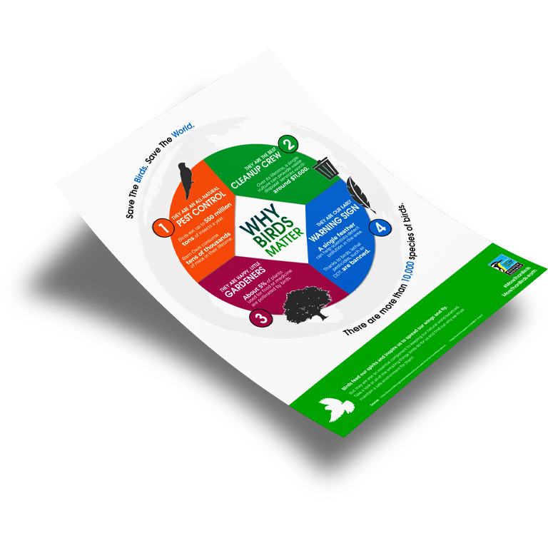 Houston Audubon Society infographic