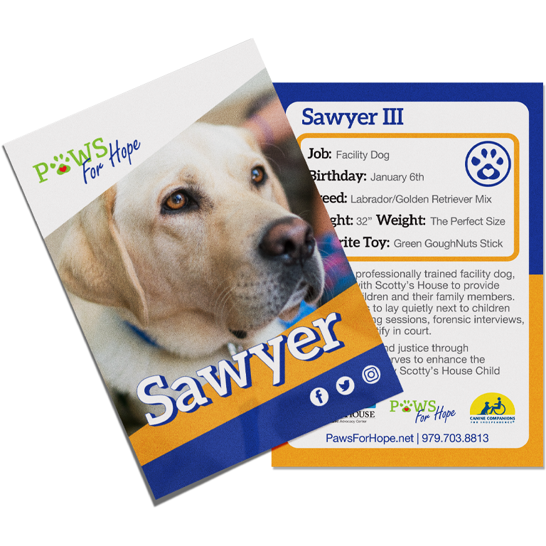 Paws for Hope Sawyer baseball card